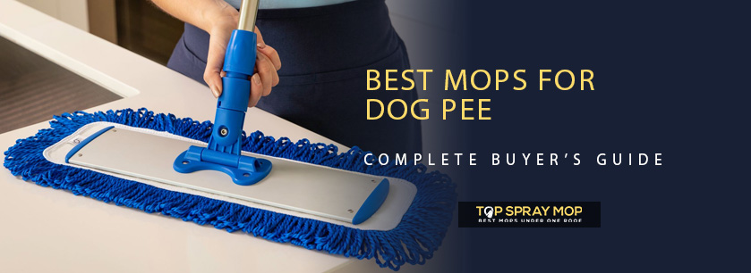 Best Mops for Dog Pee